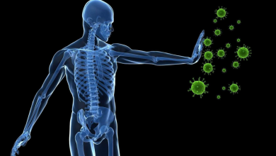 CBD AND THE BODY IMMUNE SYSTEM